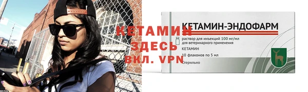 твердый Коряжма