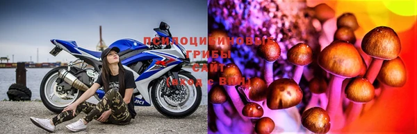mix Козловка
