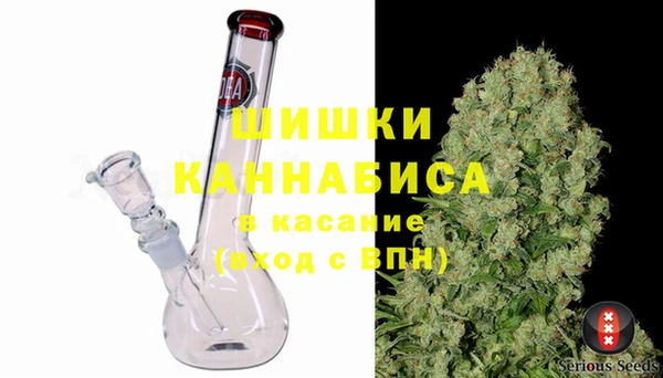 ПСИЛОЦИБИНОВЫЕ ГРИБЫ Аша