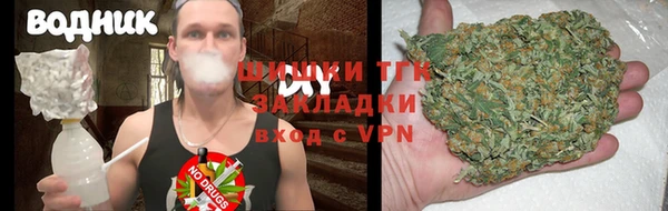 твердый Коряжма